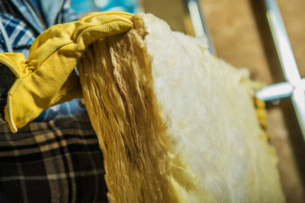 Best Specialized Insulation Services in Ammon, ID