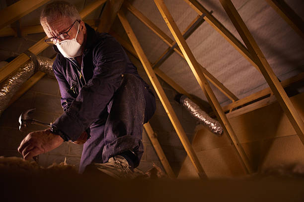 Professional Insulation Contractor in Ammon, ID